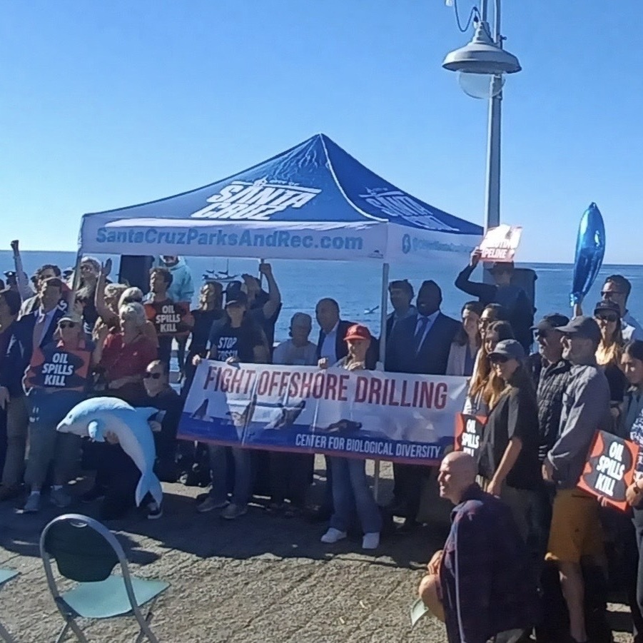 Stand Up, Save Our Coast - logo